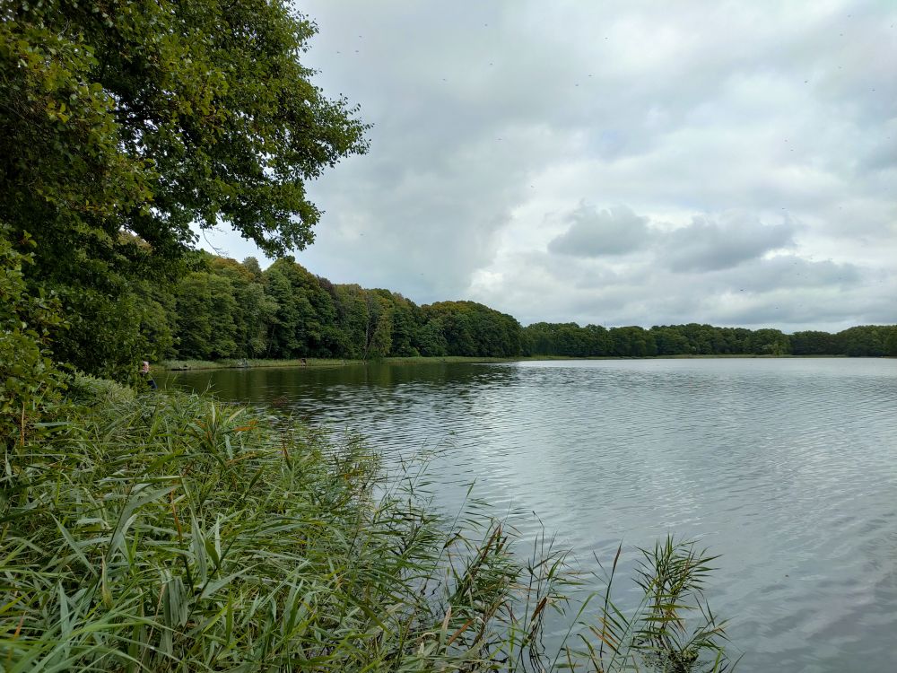 Zawody wędkarskie „O Puchar Burmistrza Chociwla”